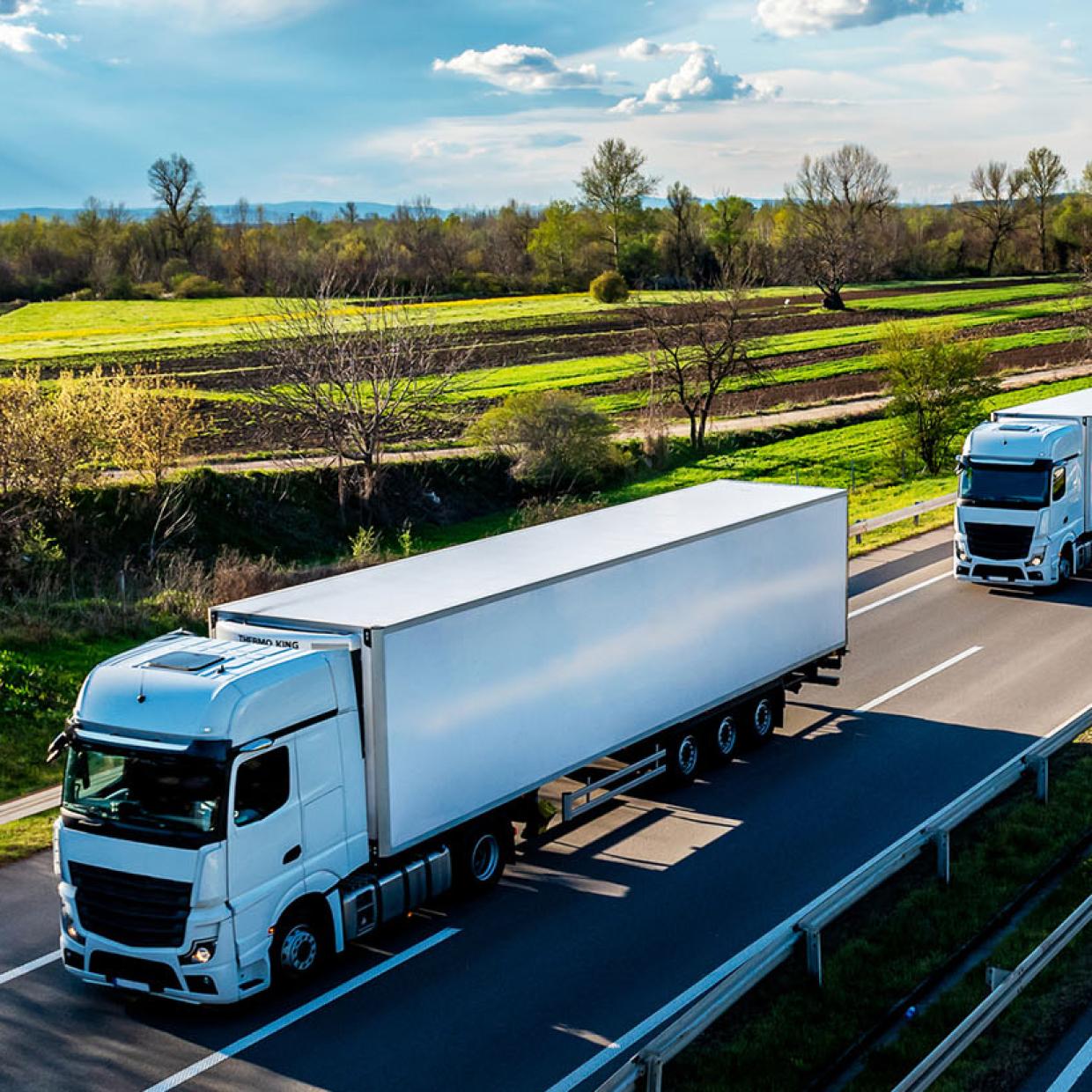 Camions blancs avec conteneurs sur autoroute 
